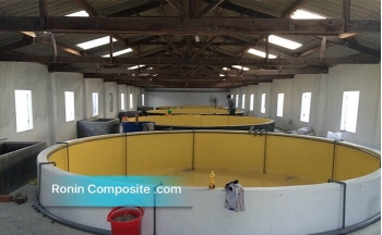 Bọc composite bể nuôi thủy hải sản